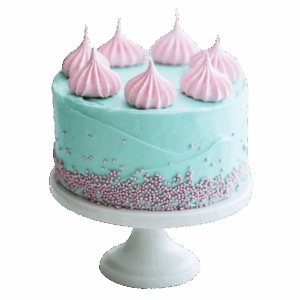 Pastel Menta & Rosa Chic
