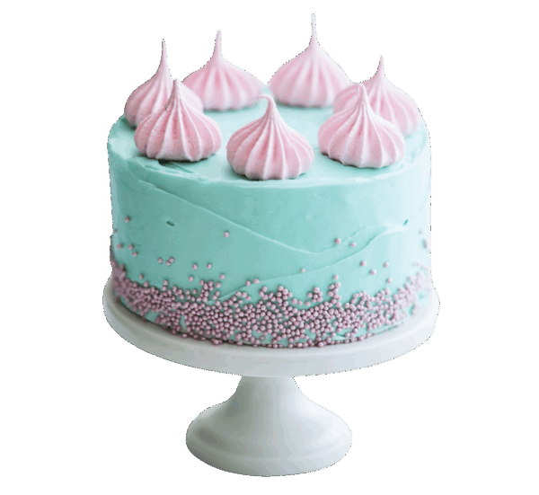 Pastel Menta & Rosa Chic